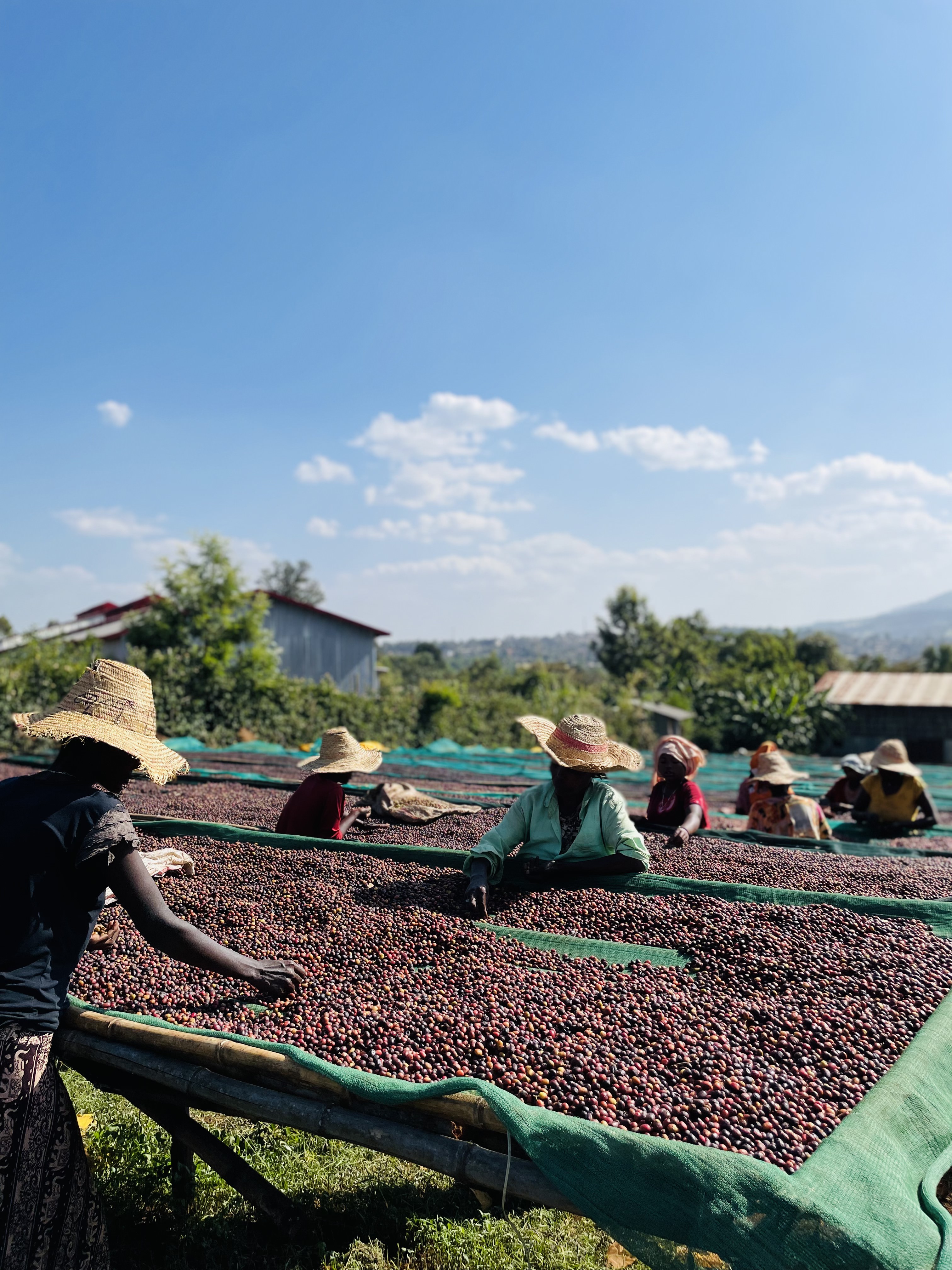 Guji Shakiso- Tero Station