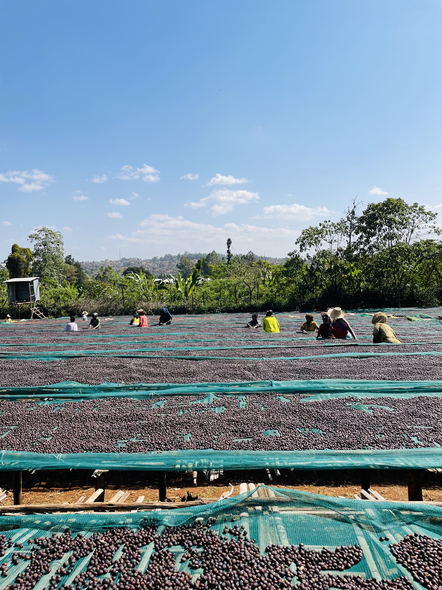 Guji Shakiso -Shanka Station